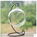 Groothandel helder glas rond terrarium met houten basis